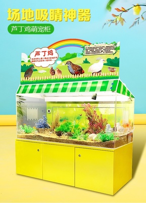 单面芦丁鸡柜萌宠柜