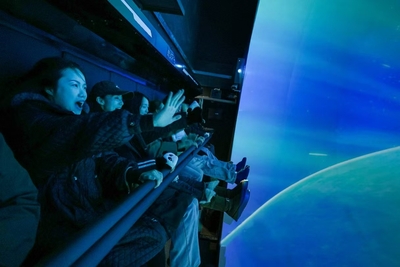 巅峰球幕飞行影院